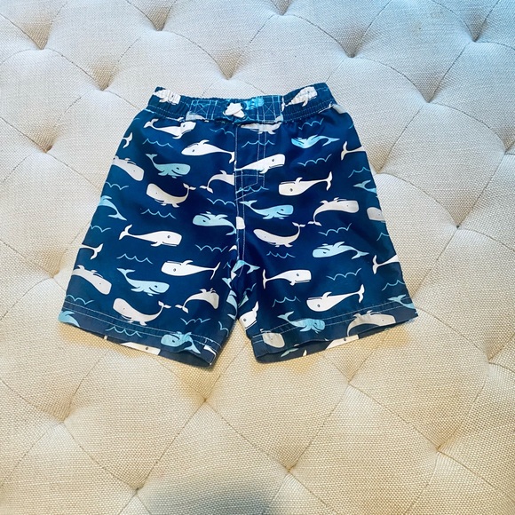 Freestyle Revolution 18m swim trunks - Picture 1 of 1